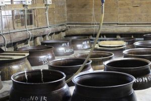 吉永酒造見学（本格焼酎 利八蔵元）：若き五代目が受け継いだ伝統と新しい時代への挑戦