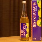 ボンタンアメのお酒:ロックもソーダ割りも美味いが冬ならお湯割りに挑戦を!